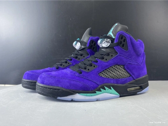 Chep Onekick Retro Air Alternate Grape 136027-500 Jordan 5 0719